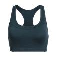 Труси ICEBREAKER Meld Zone Sport Bra WMN