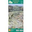 Карта Стежки та мапи Західні Ґорґани 500м ламінована