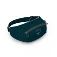 Поясная сумка OSPREY Daylite Waist (F19)