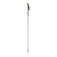 Палиці BLACK DIAMOND Alpine Ergo Cork