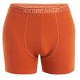 Трусы ICEBREAKER Anatomica Boxers M