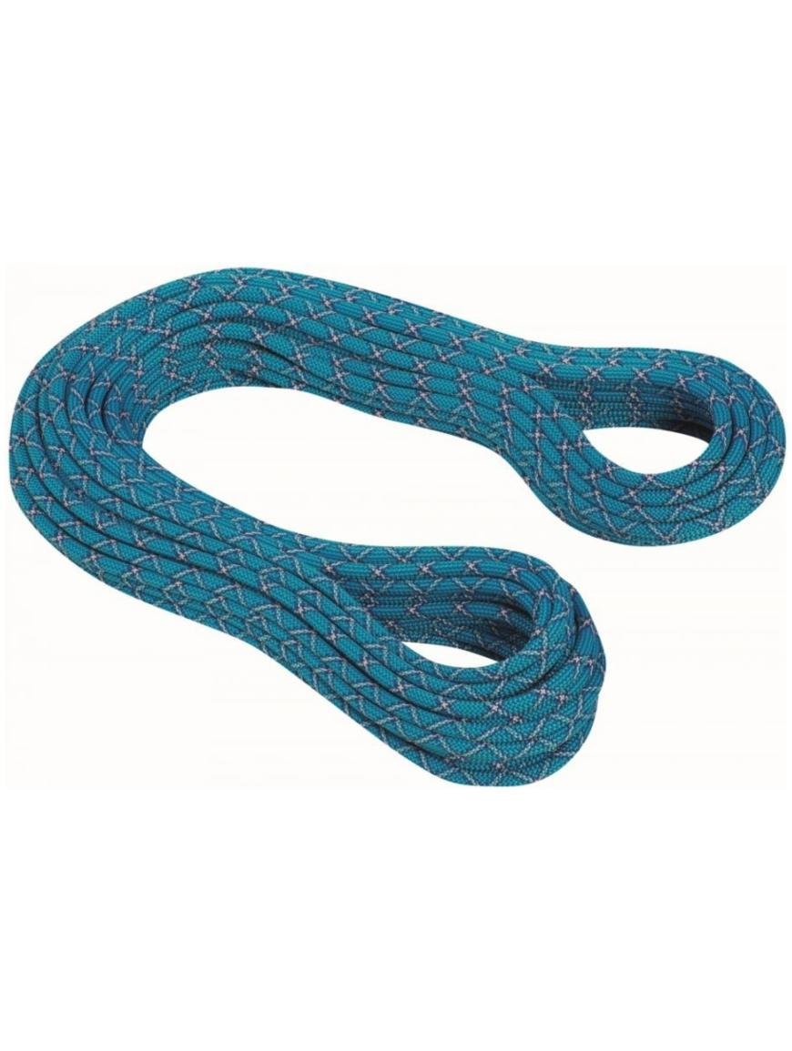 Купити Мотузка MAMMUT Infinity Protect 9,5 mm 60 m в Києві та