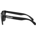 extra-Очки OAKLEY FROGSKINS