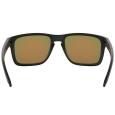 extra-Очки OAKLEY HOLBROOK XL OO9417-0459