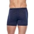 extra-Трусы ICEBREAKER Anatomica Boxers M