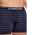 extra-Трусы ICEBREAKER Anatomica Boxers M