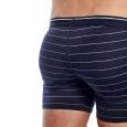 extra-Трусы ICEBREAKER Anatomica Boxers M