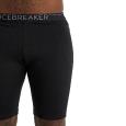 extra-Трусы ICEBREAKER 200 Oasis Shorts MEN