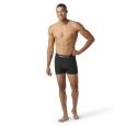 extra-Трусы SMARTWOOL Men's Active Boxer Brief Boxed