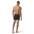 extra-Трусы SMARTWOOL Men's Active Boxer Brief Boxed