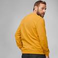 extra-Кофта FJALLRAVEN 1960 Logo Badge Sweater M