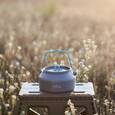 extra-Чайник Tribe Kettle Alu 1 л