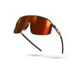 extra-Окуляри JULBO DENSITY  RV 0-3 HC