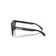 extra-Окуляри OAKLEY FROGSKINS RANGE XL 950306