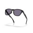 extra-Окуляри OAKLEY FROGSKINS RANGE XL 950306