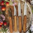 extra-Набор OPINEL Les Essentiels Olive