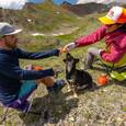 extra-Стілець Big Agnes Skyline UL Stool