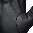 extra-Рукавички BLACK DIAMOND Alpine Softshell Gloves