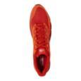 extra-Кросівки THE NORTH FACE Litewave Endurance