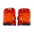 extra-Кросівки THE NORTH FACE Litewave Endurance