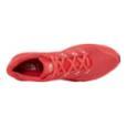 extra-Кросівки THE NORTH FACE W Litewave Endurance