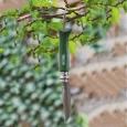 extra-Ніж OPINEL Tradition 8 VRI Trekking