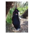 extra-Ємність для води MSR 2L  Dromedary Bag, w/ Fill Handle