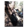 extra-Ємність для води MSR 2L  Dromedary Bag, w/ Fill Handle